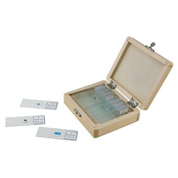 Celestron Prepared Microscope Slides (25 piece set) Telescopes Direct